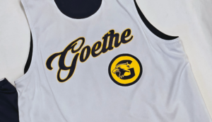 close up of white side of reversible screen printed jersey